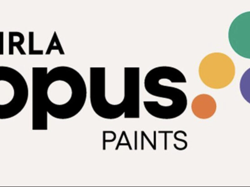Asian Paints And Berger Paints To Increase The Capital Expenditure After Birla Opus's Powerful Performance
